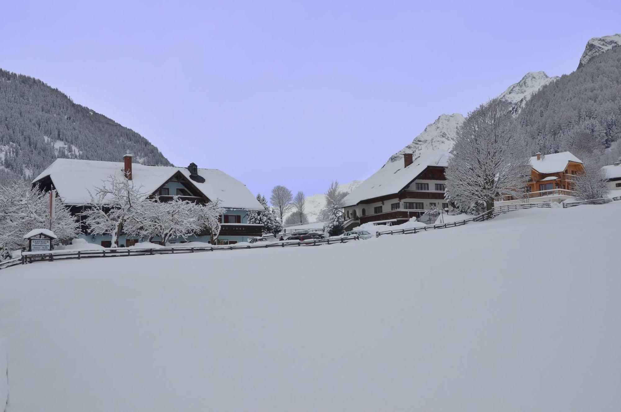Landhotel - Apartments Bauer Hintergöriach Εξωτερικό φωτογραφία